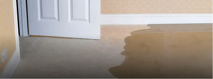 door Water Damage Claim Public Adjuster Company