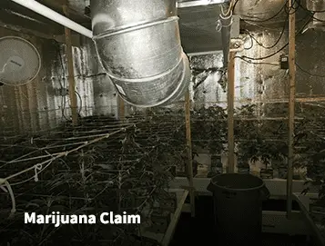 Marijuana Claim Marijuana Claim